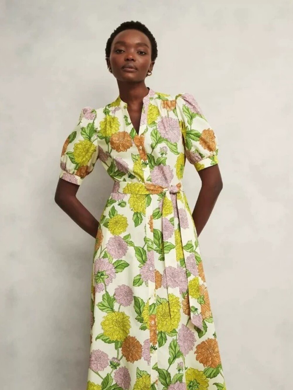 Hobbs Elina Dress - Picture 2 of 12